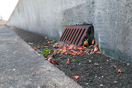 屋上の排水ドレン廻りの堆積物写真